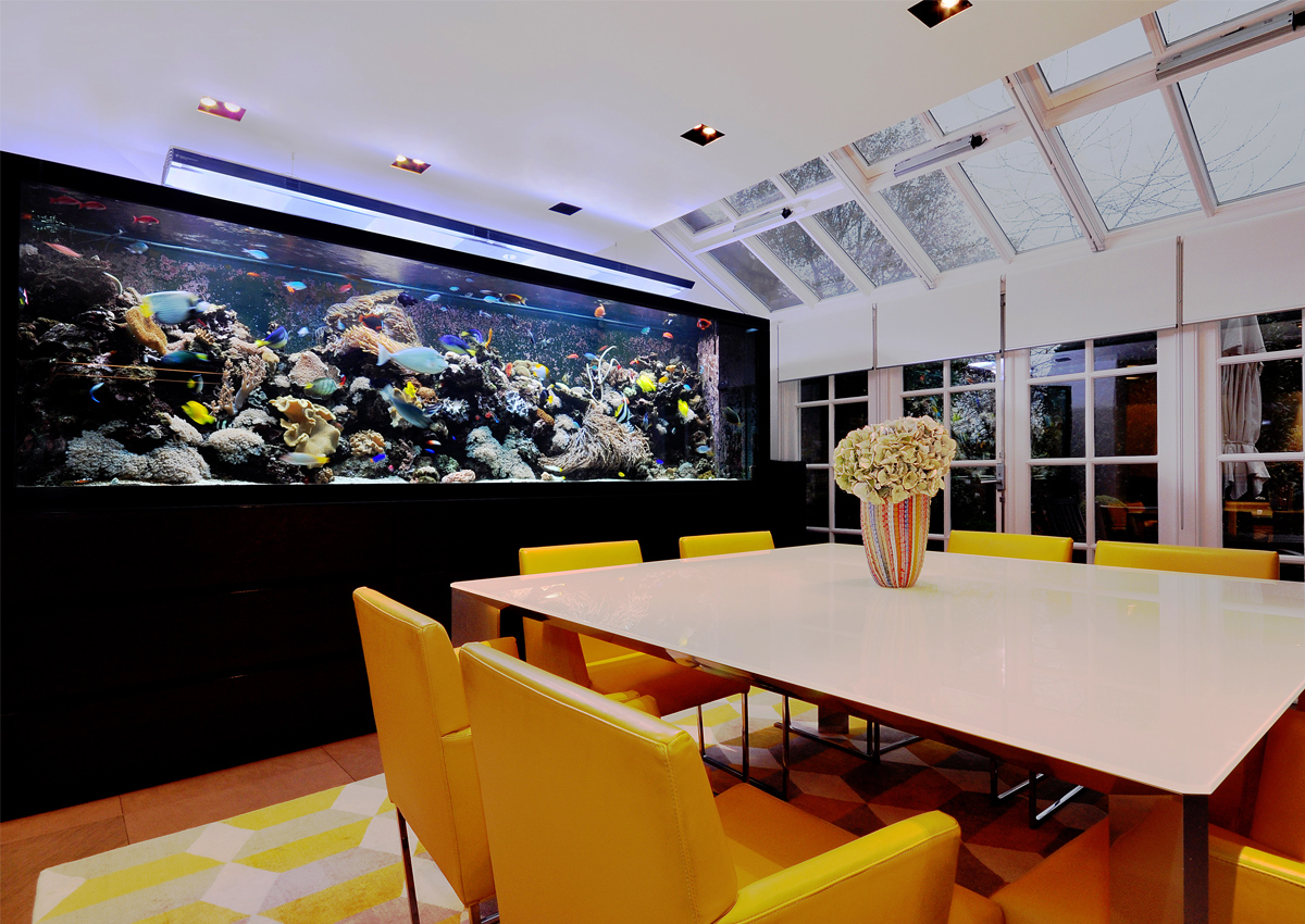 custom aquariums hawaii