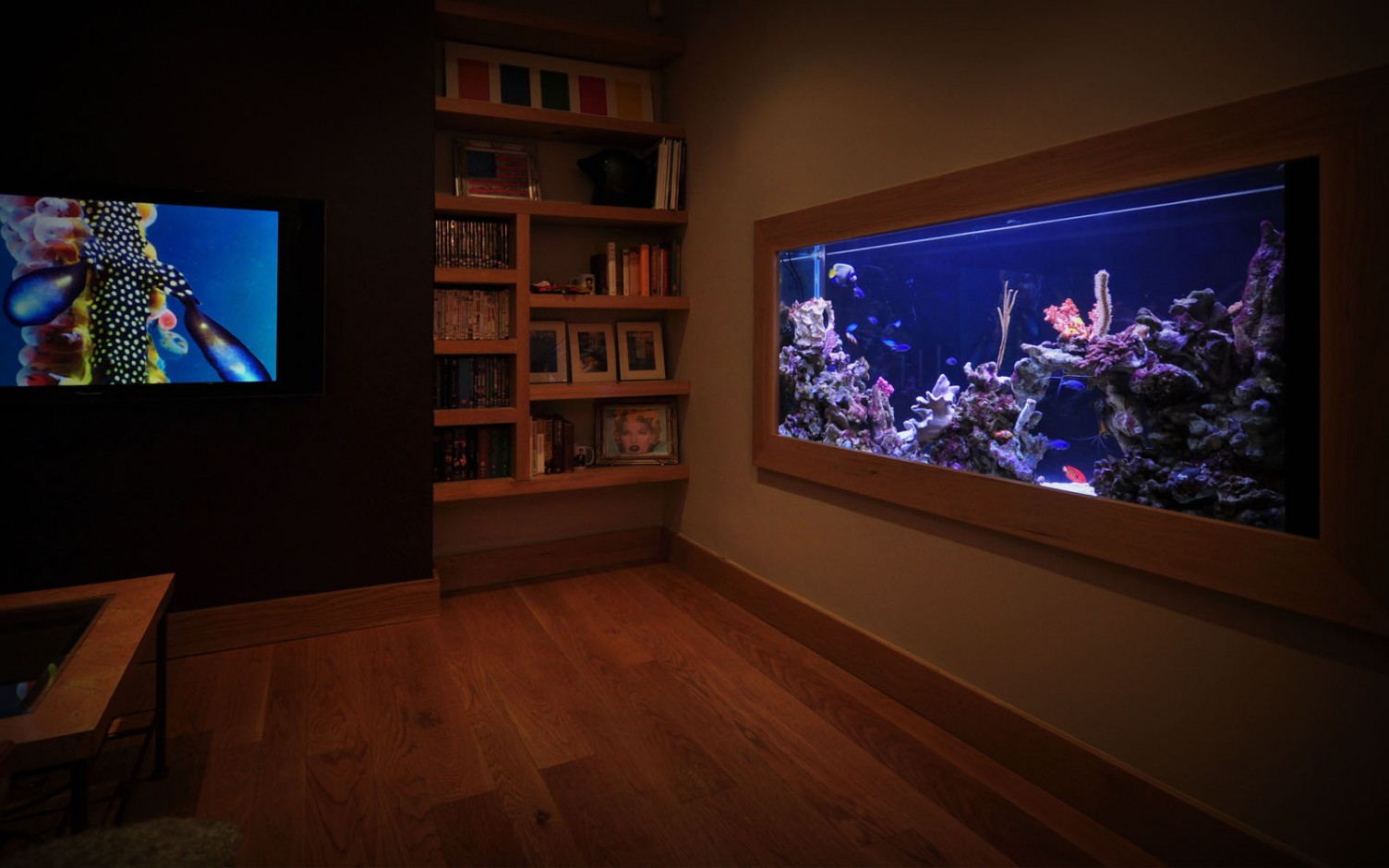 Mini Coral Reef, Manhattan, New York Aquarium Architecture