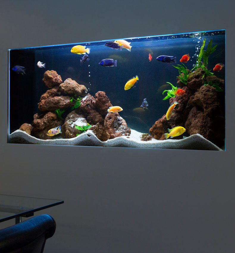 Fish Tank Installation by Aquarium Architecture in Ocean Home