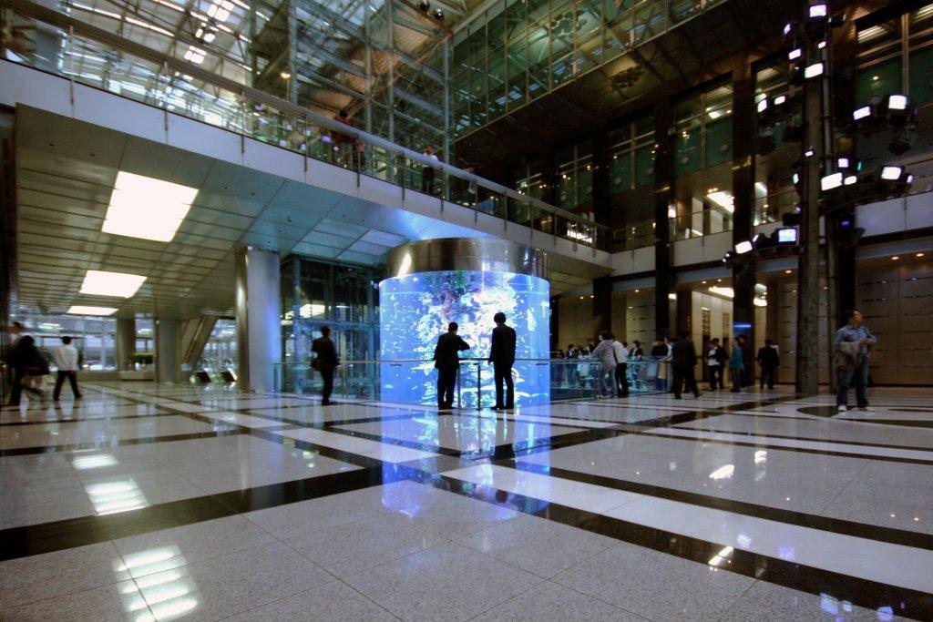 Custom made fish tanks Glass vs Acrylic Aquarium