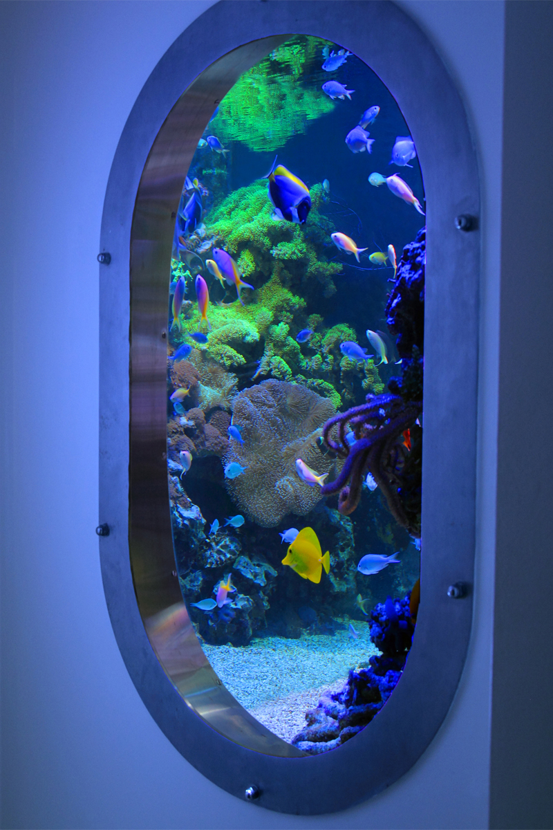 Porthole Effect Aquarium Aquarium Architecture