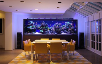 Aquarium Designs - In Wall Aquariums | Free Standing Tanks