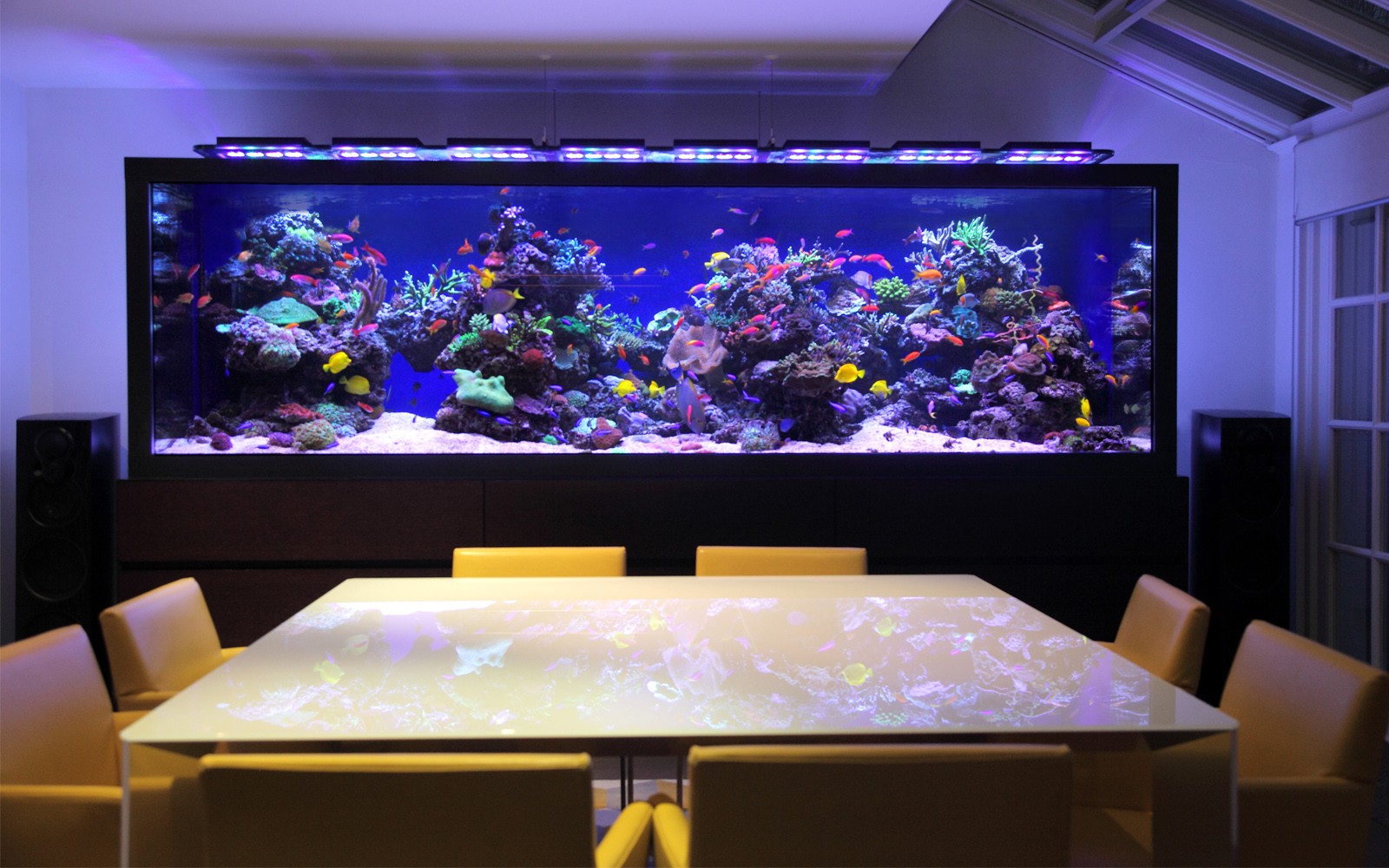 Custom Made Tropical Aquarium London Townhouse - Aquarium Architecture