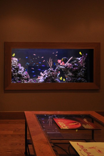 modern office fish tank aquarium modern office fish tank aquarium