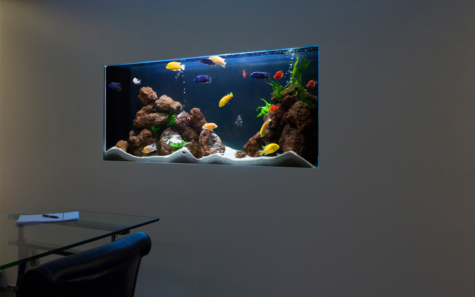 aquariumarchitecturesouthafricacapetownvillaluxurious02