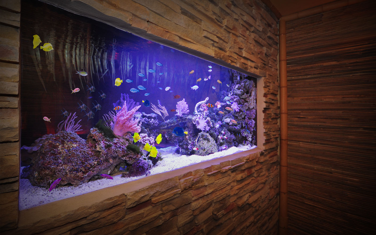 Hula Bar Aquarium Architecture