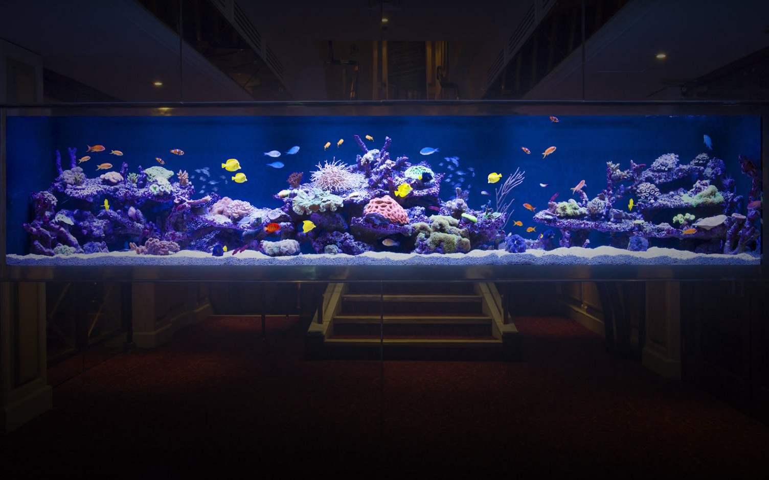 Luxury fish tanks design in Sunseeker Magazine