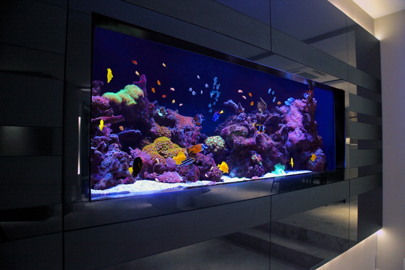 Aquariums Harrods Fish Tank Design and Installation