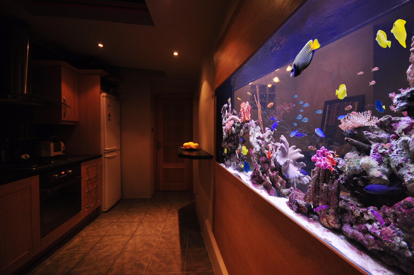 Now Trending Designer Fish Tanks Aquarium Architecture