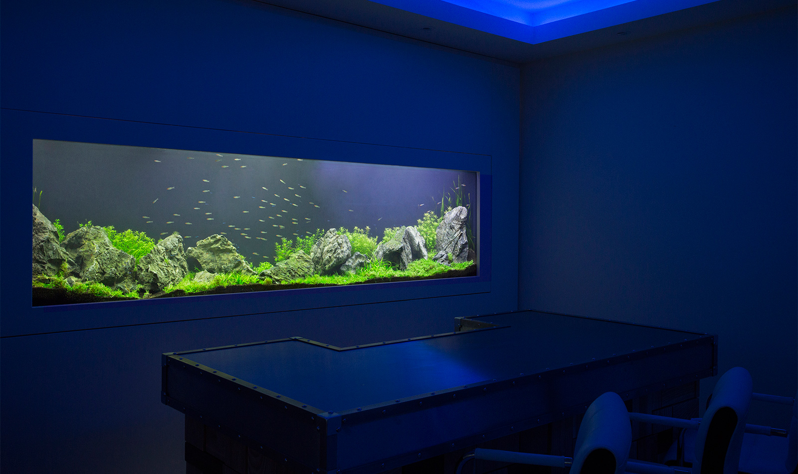 Aquarium Architecture Bespoke Aquarium Design