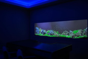 Aquarium Designs - In Wall Aquariums