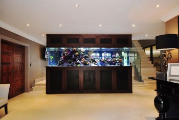 aquarium-architecture-footballers-pad-stephen-ireland-02-1280x8001