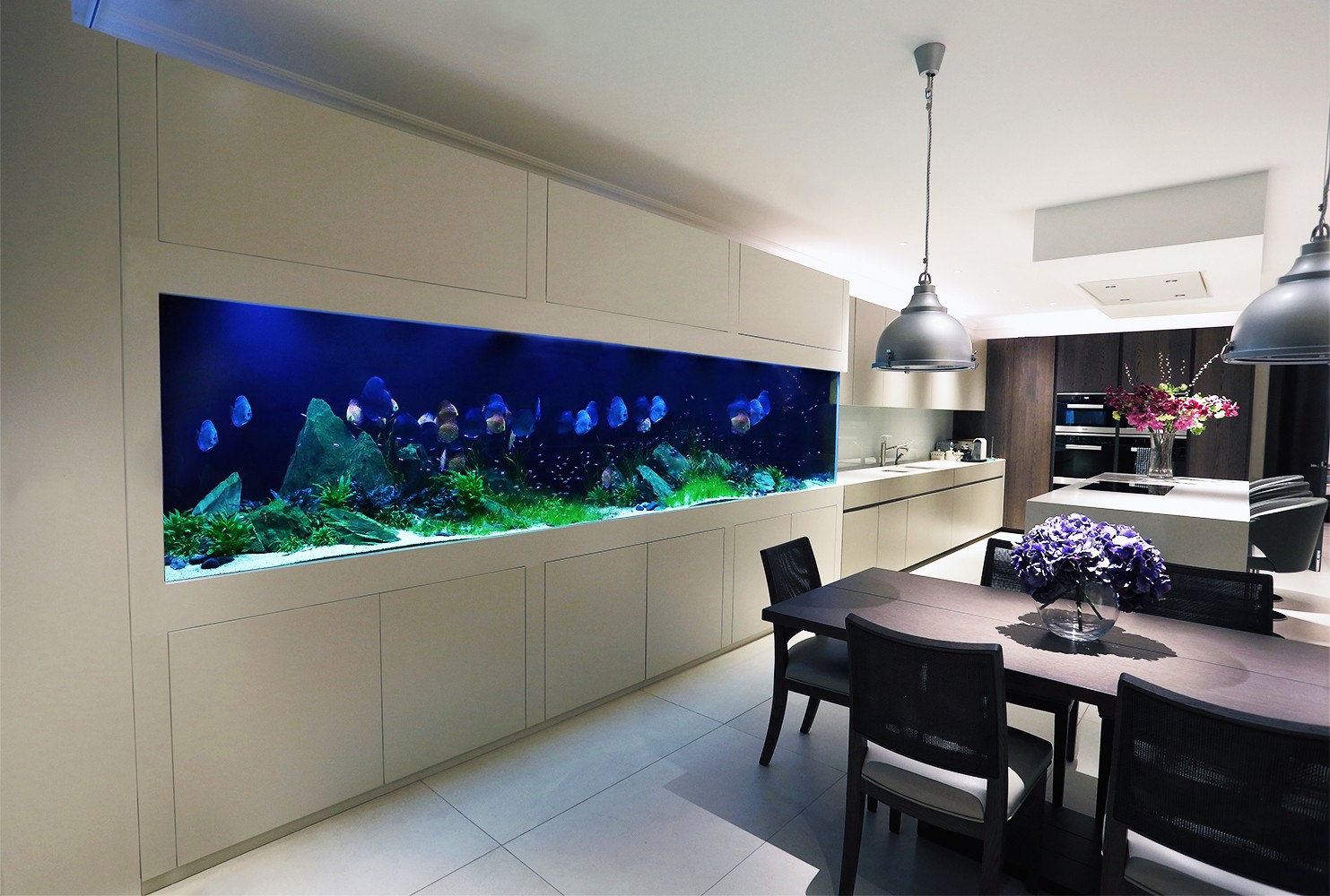 custom fish tanks las