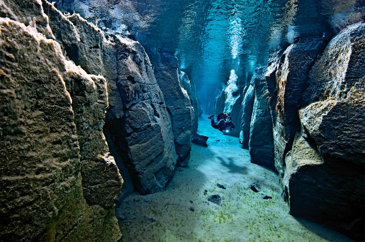 Top Scuba Diving Locations Aquarium Inspiration