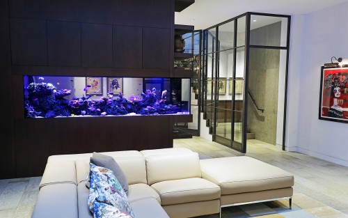 43+ Aquarium Design Ideas House HD Terbaik